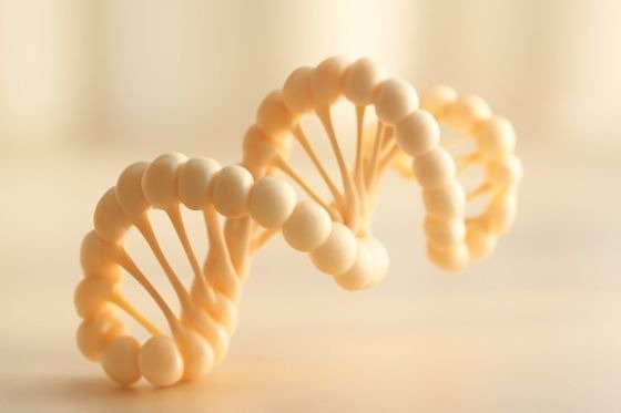 Ipamorelin for Recovery and Muscle: The Evidence